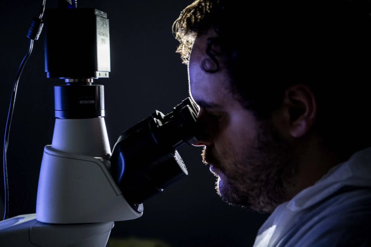 La investigación, llevada a la práctica
