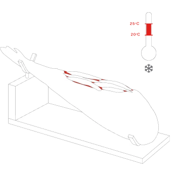 Paso 1