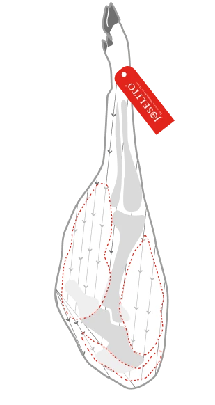 Partes del Jamón Joselito