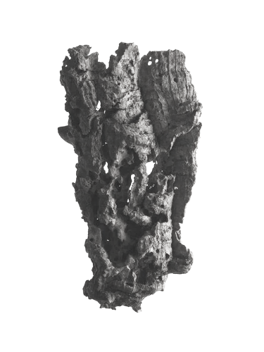 Textura